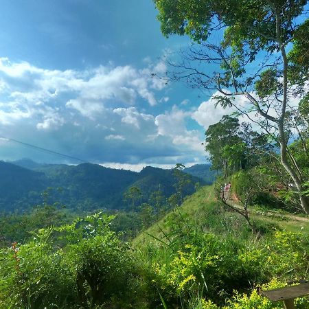 شقة Mountain Vibe إيلا المظهر الخارجي الصورة